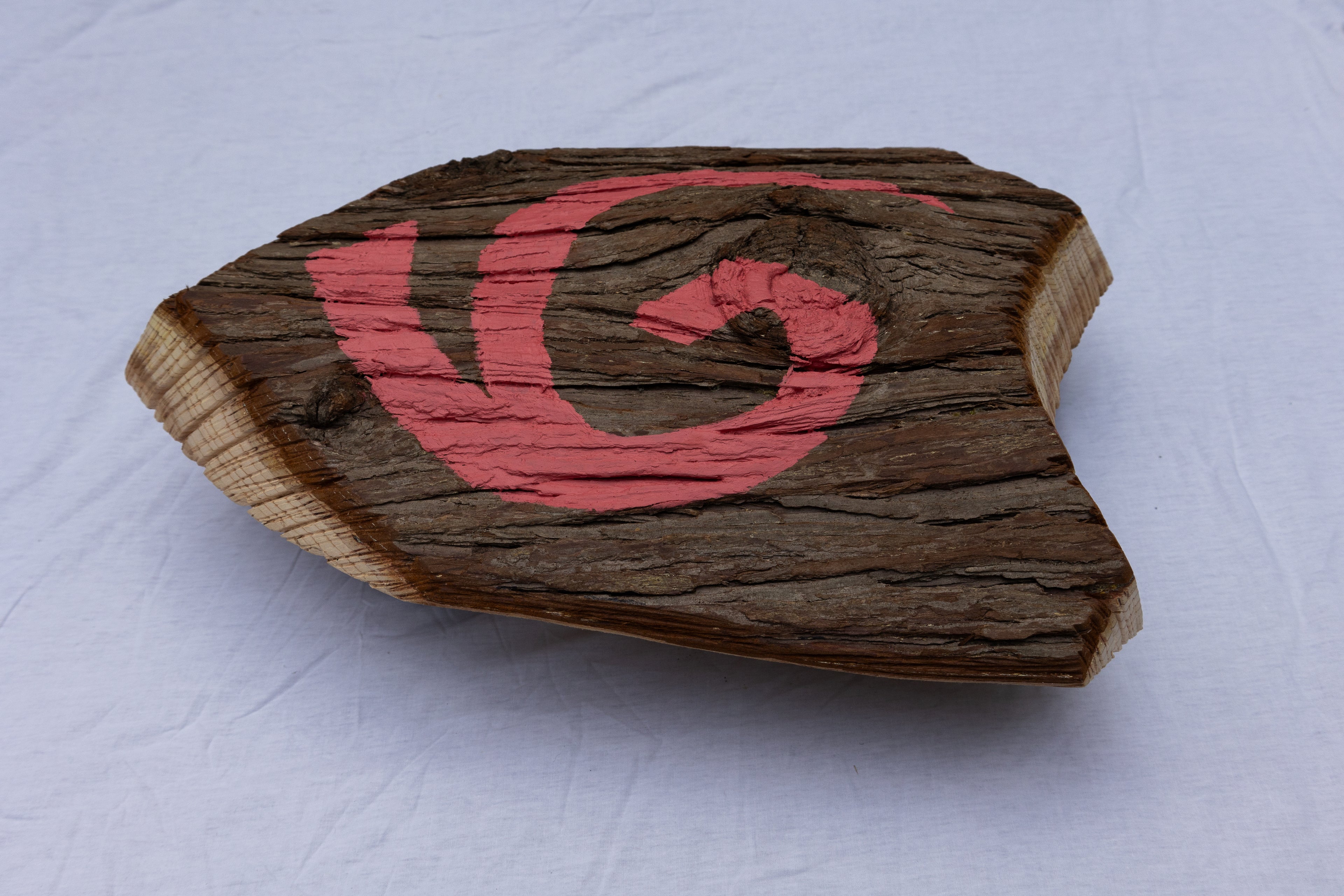 Deku Shield Wooden Replica // The Legend of Zelda - Smash Bros (Pre Order) - Legend of Zanon
