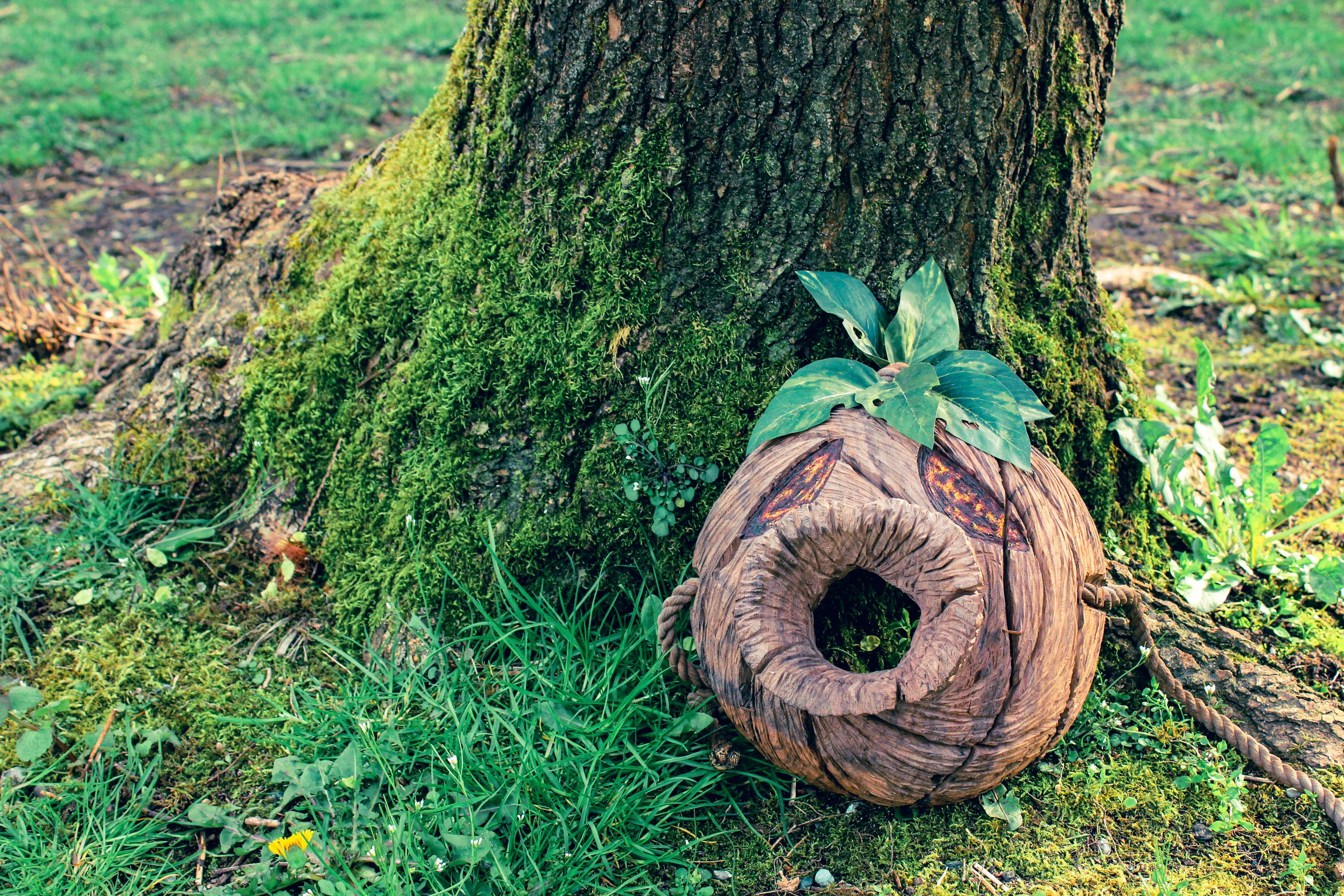 The Wooden Deku Mask outside on the ground under a tree.
