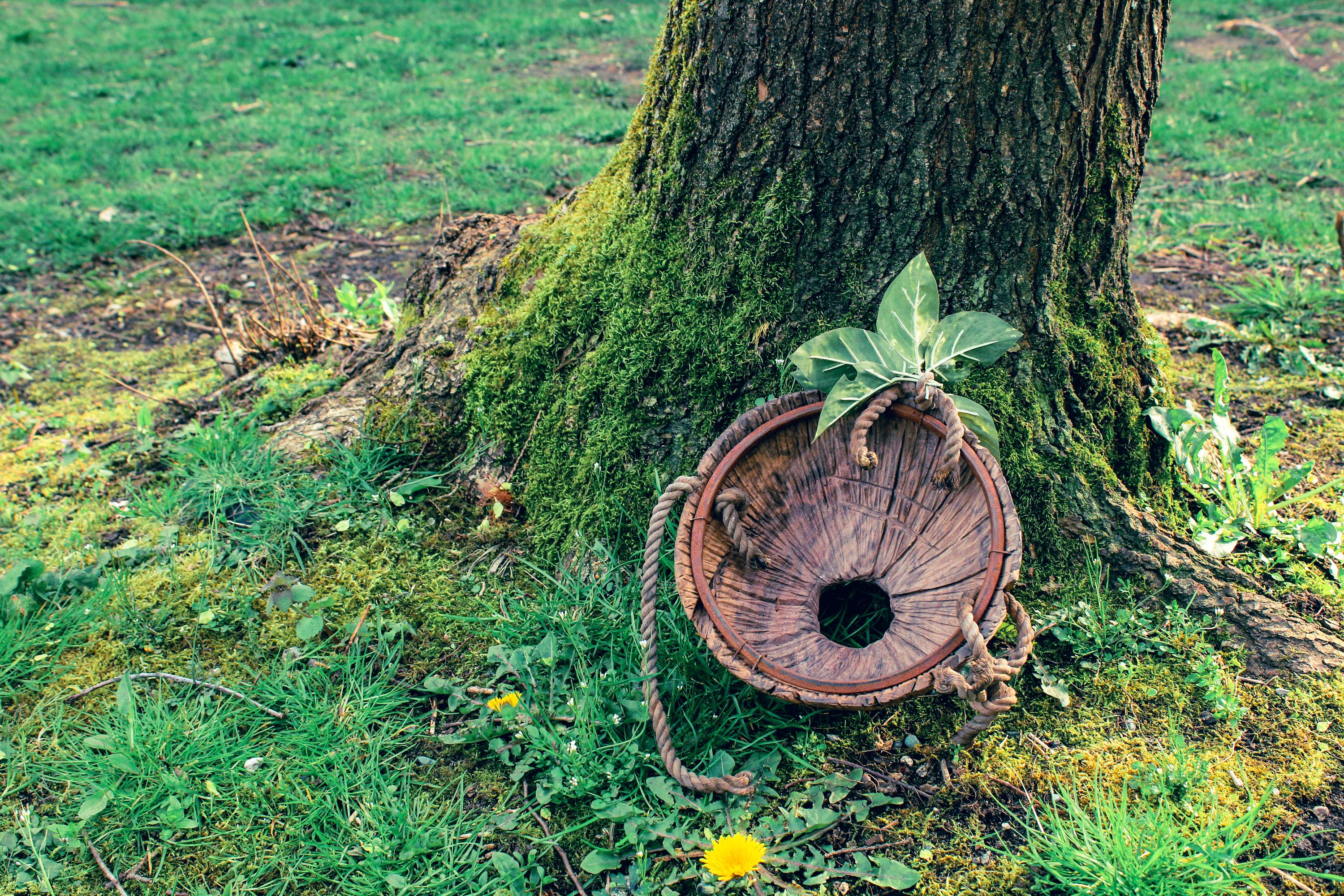 Back of the Wooden Deku Mask on the ground under a tree