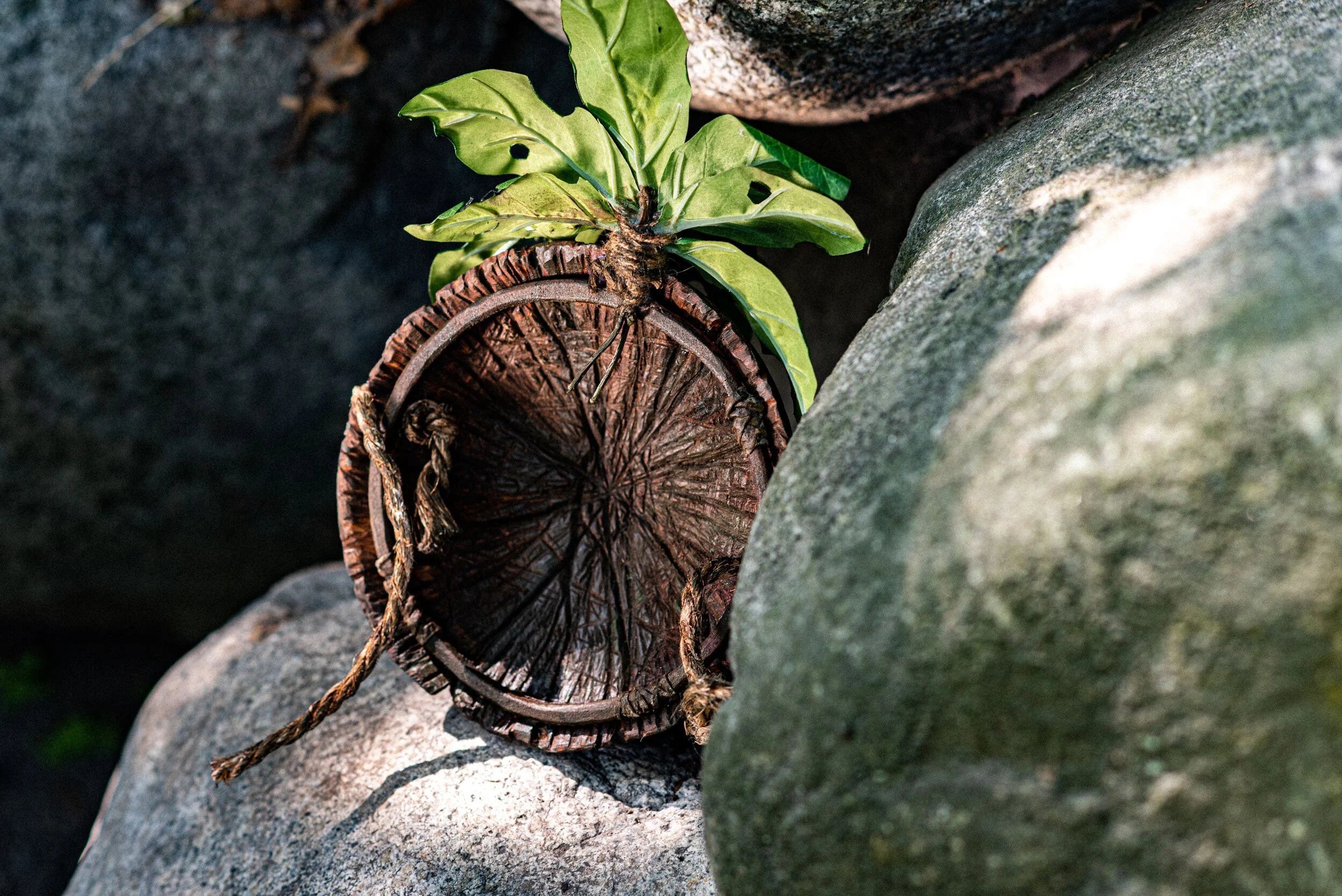 Back of Wooden Deku Mask on rocky surface