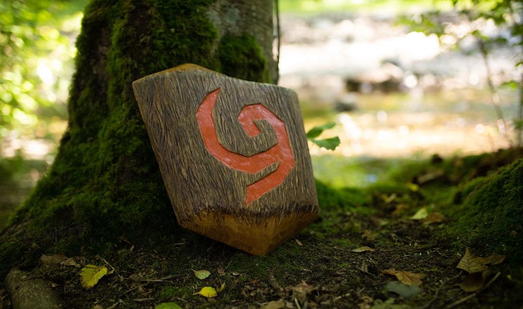 Deku Shield Wooden Replica // The Legend of Zelda - Ocarina of Time in the forest