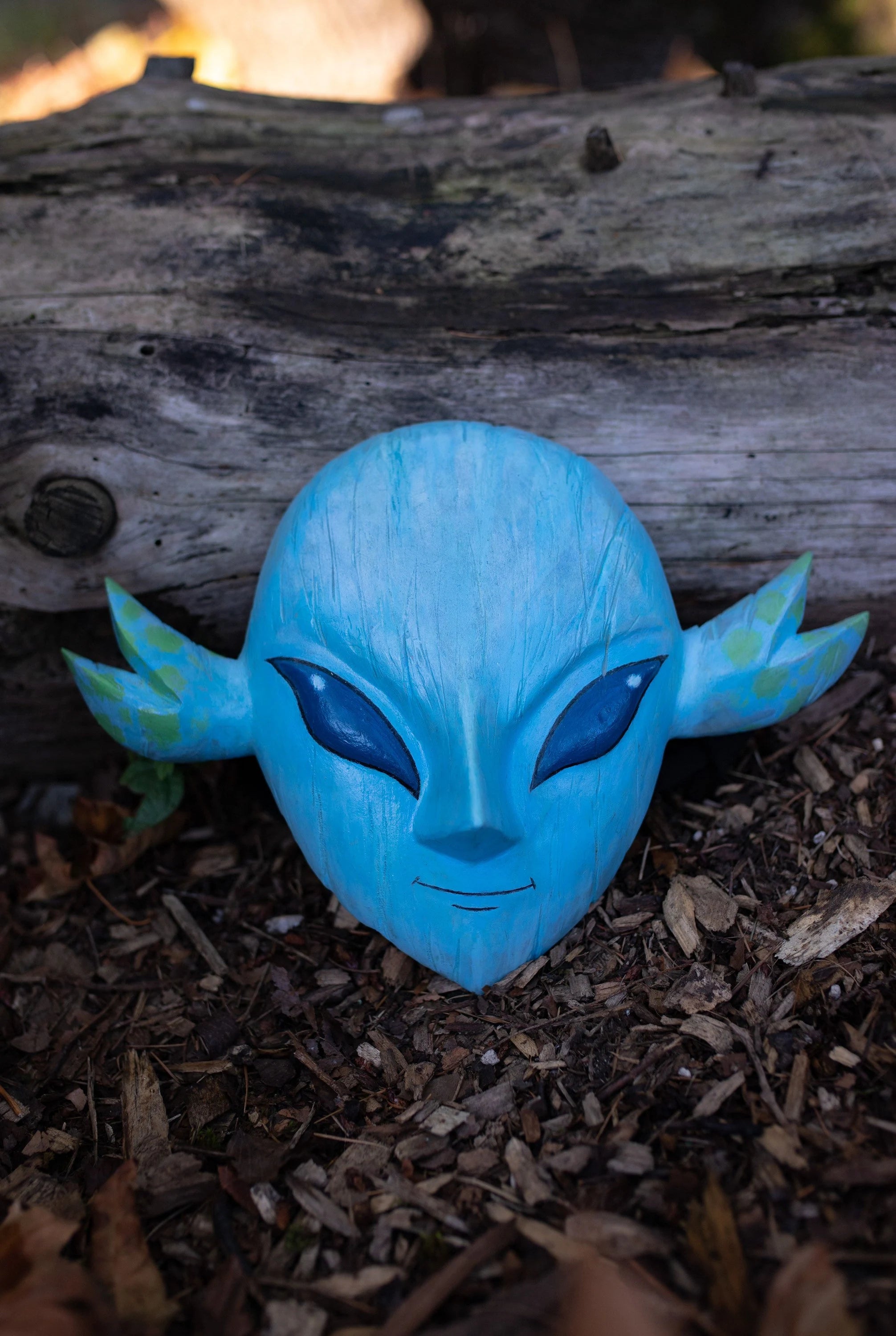 Hand Carved Wooden Zora Mask 
